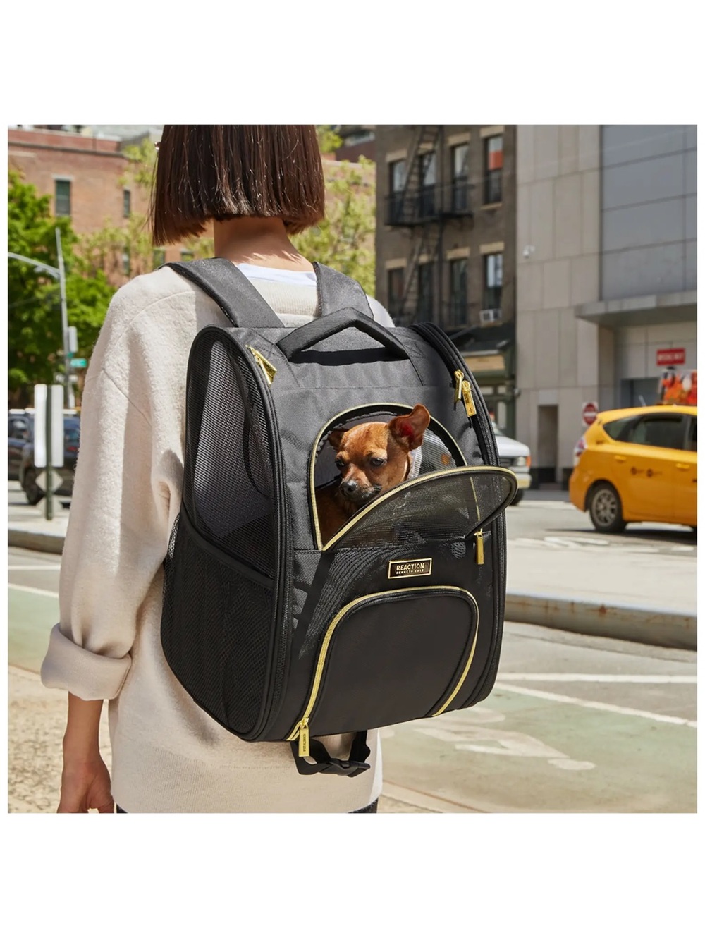 Kenneth Cole Black Pet Carrier Backpack with Gold Trim